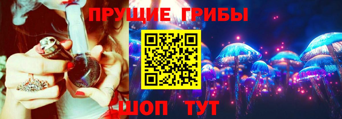 Магадан  Галлюциногенные грибы GOLDEN TEACHER  Галлюциногенные грибы Magic Shrooms  наркота  Вход с VPN 